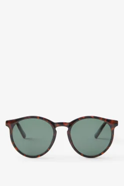 Lorne Polarized Sunglasses