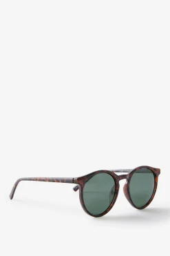 Lorne Polarized Sunglasses